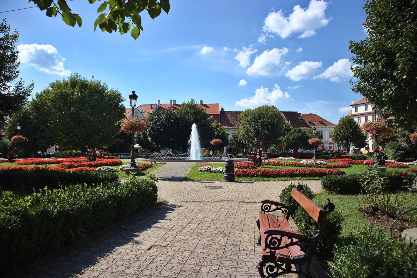 Fântâna din parcul pieței